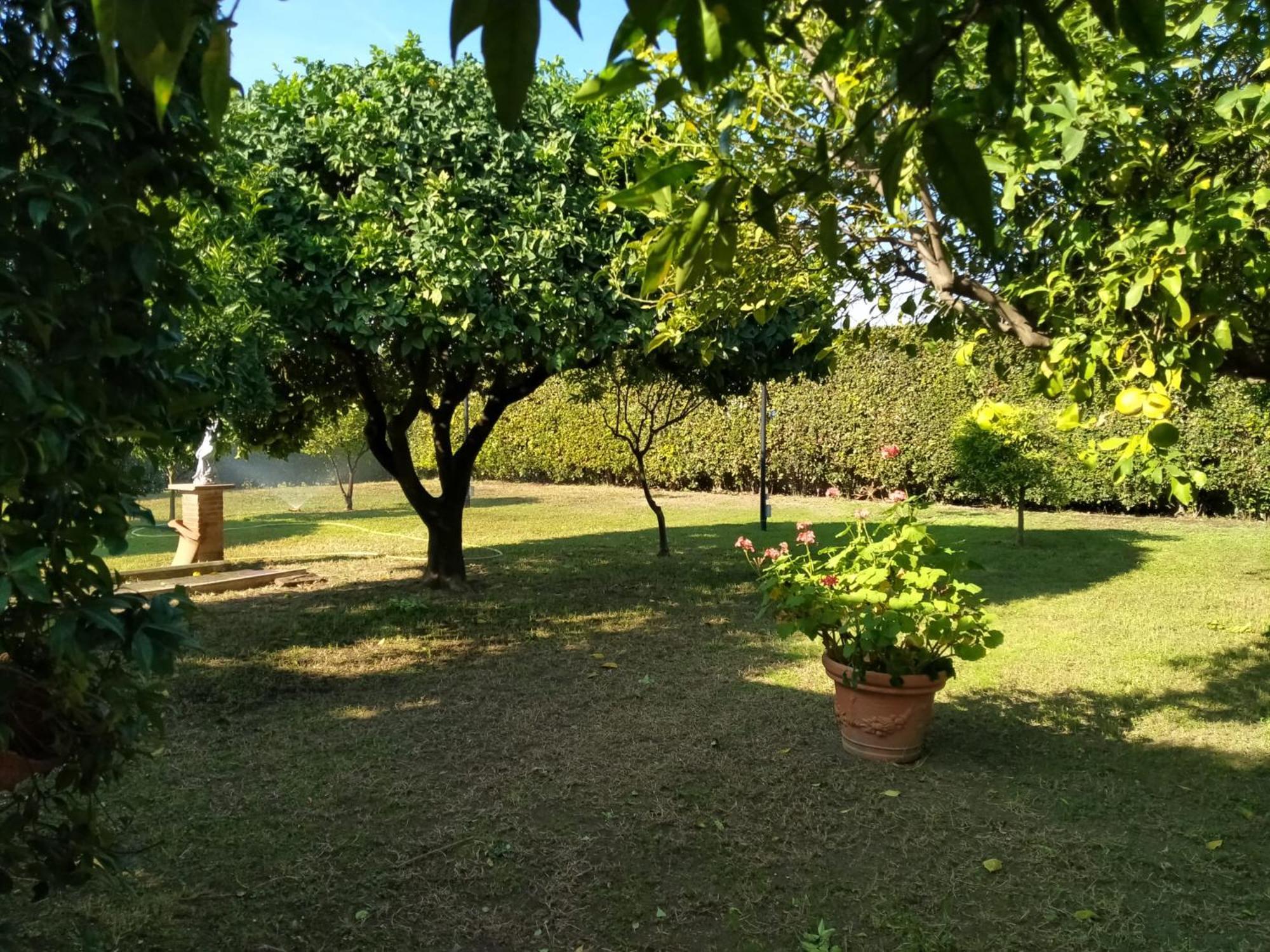 Da Ninnilla Holiday Home Scafati Extérieur photo